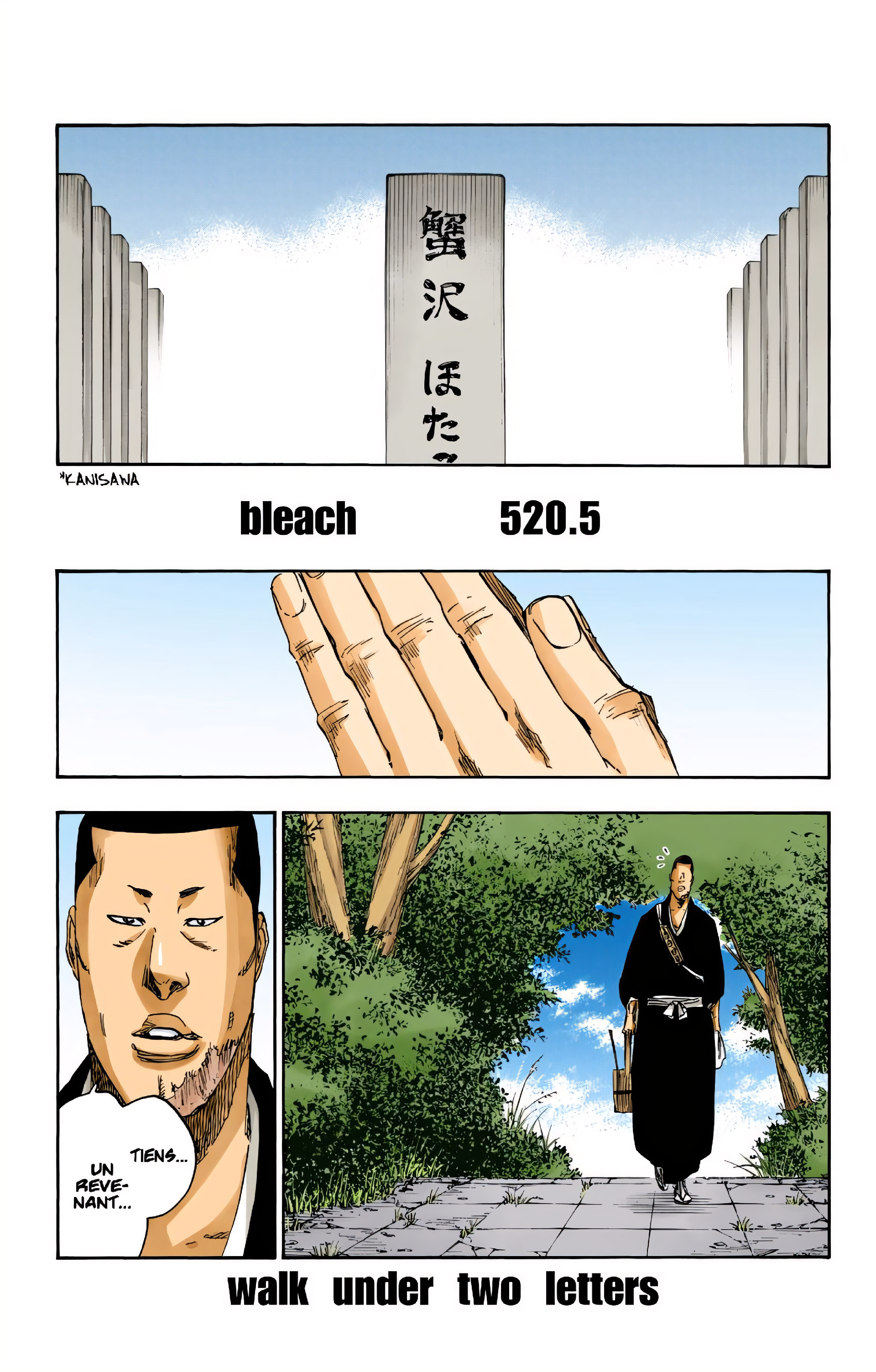 Read Bleach (Colored) ENGLISH Manga Online