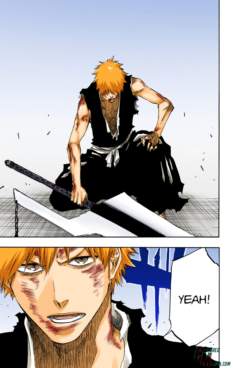 Read Bleach (Colored) ENGLISH Manga Online