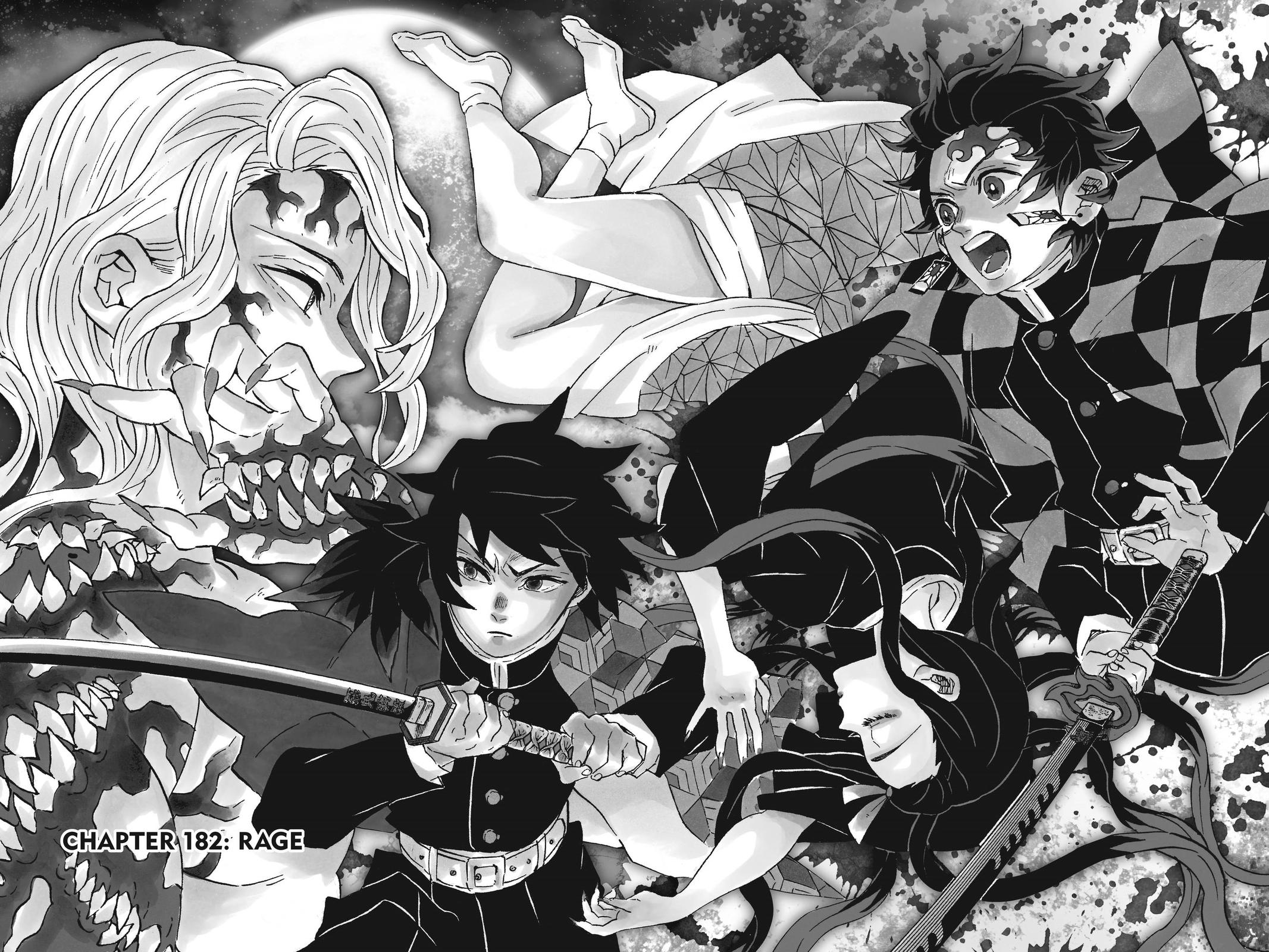 Read Demon Slayer Kimetsu no Yaiba ENGLISH Manga Online