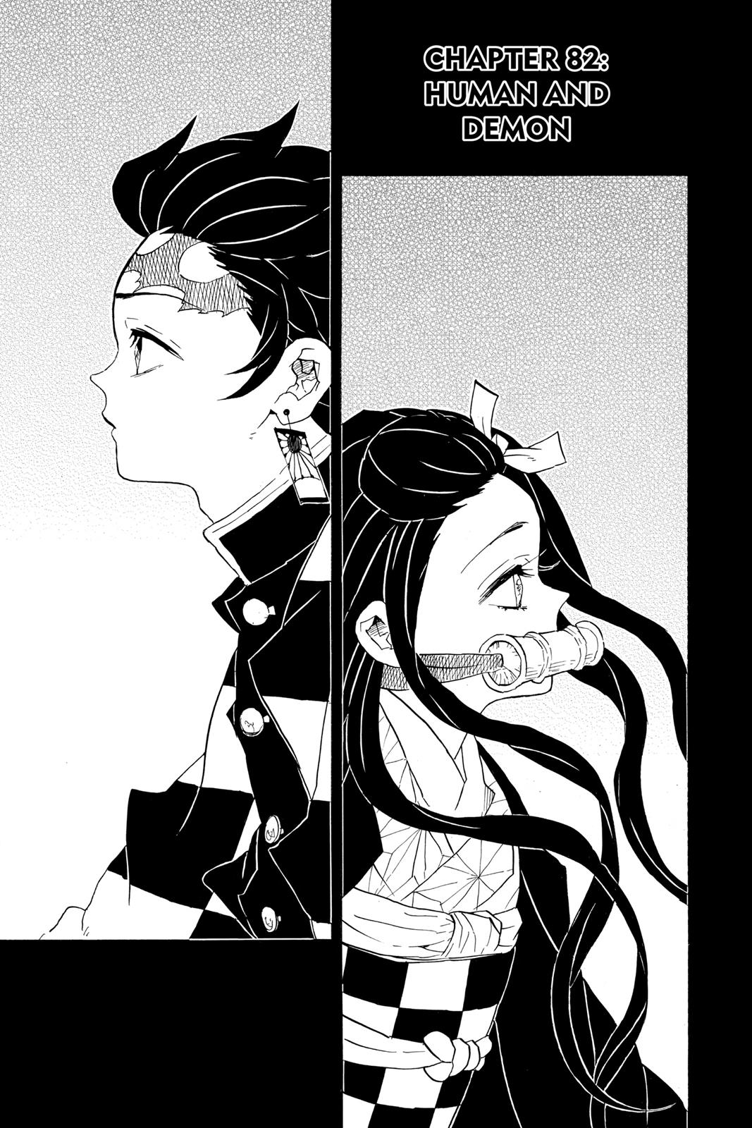 Read Demon Slayer Kimetsu no Yaiba ENGLISH Manga Online