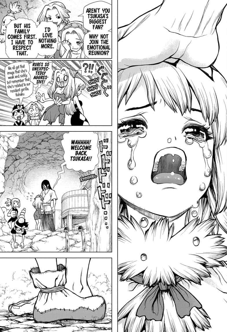 Read Dr. STONE ENGLISH Manga Online