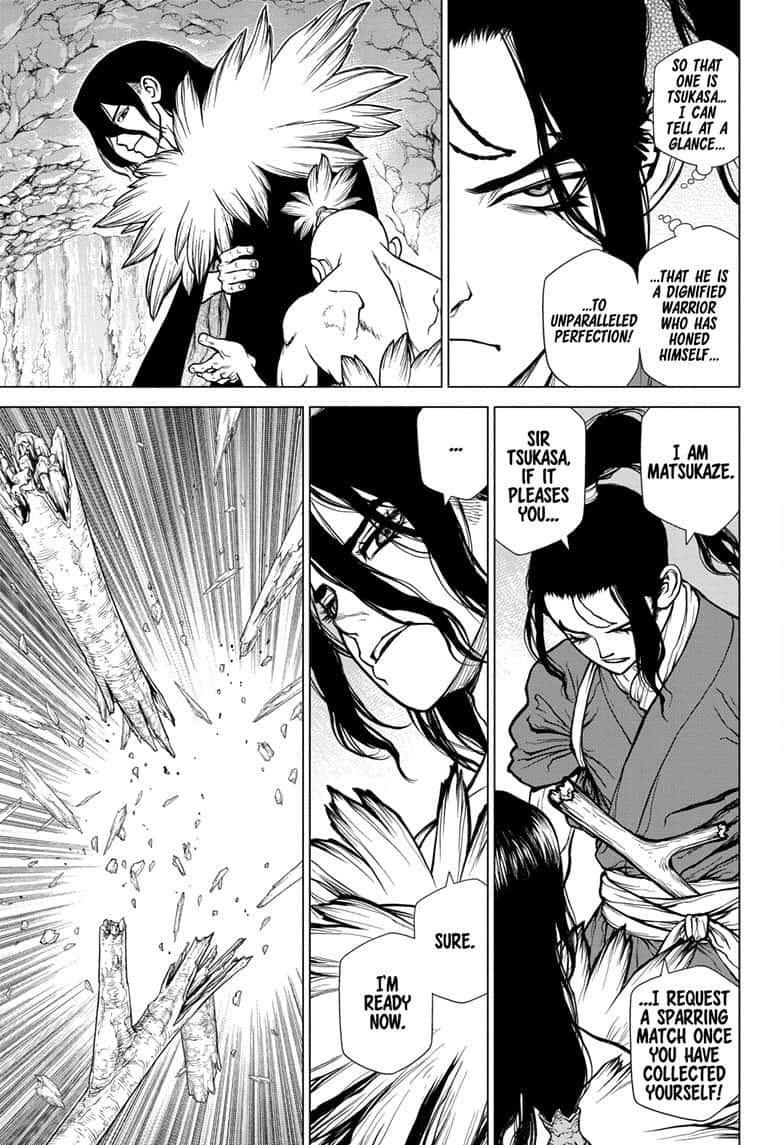 Read Dr. STONE ENGLISH Manga Online