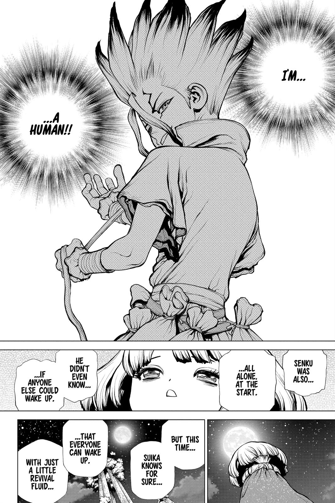 Read Dr. STONE ENGLISH Manga Online