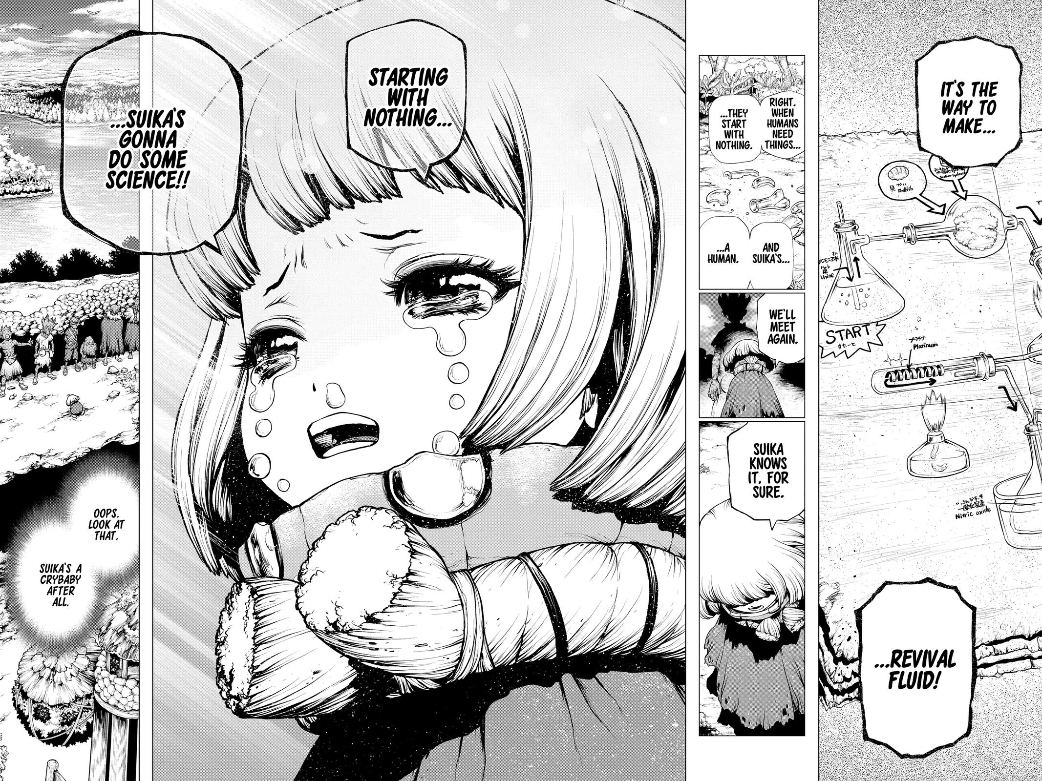 Read Dr. STONE ENGLISH Manga Online