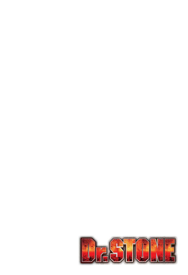 Read Dr. STONE ENGLISH Manga Online