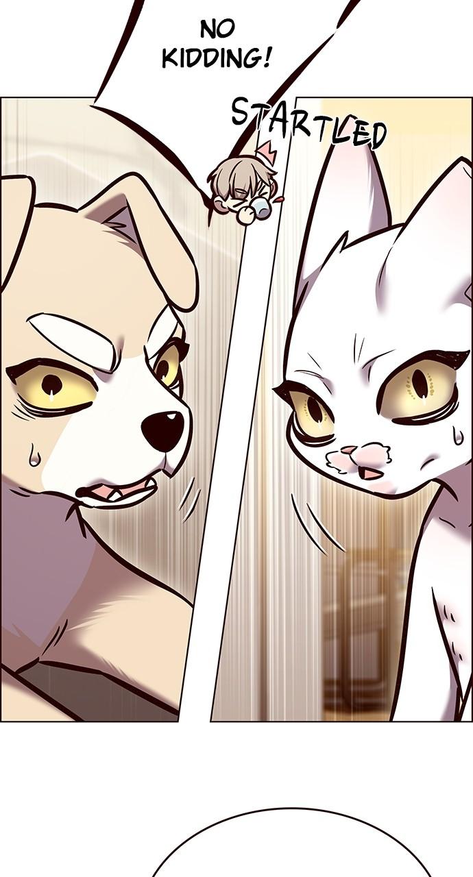 Read Eleceed ENGLISH Manga Online