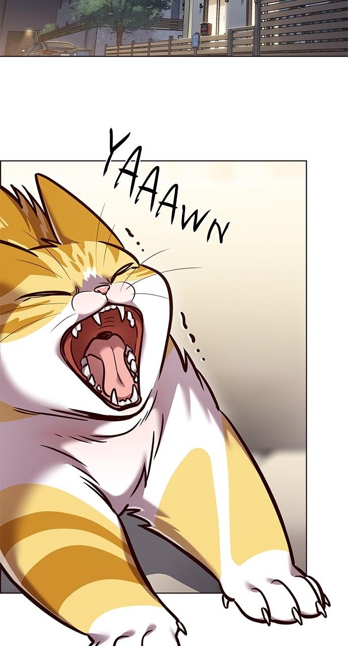 Read Eleceed ENGLISH Manga Online