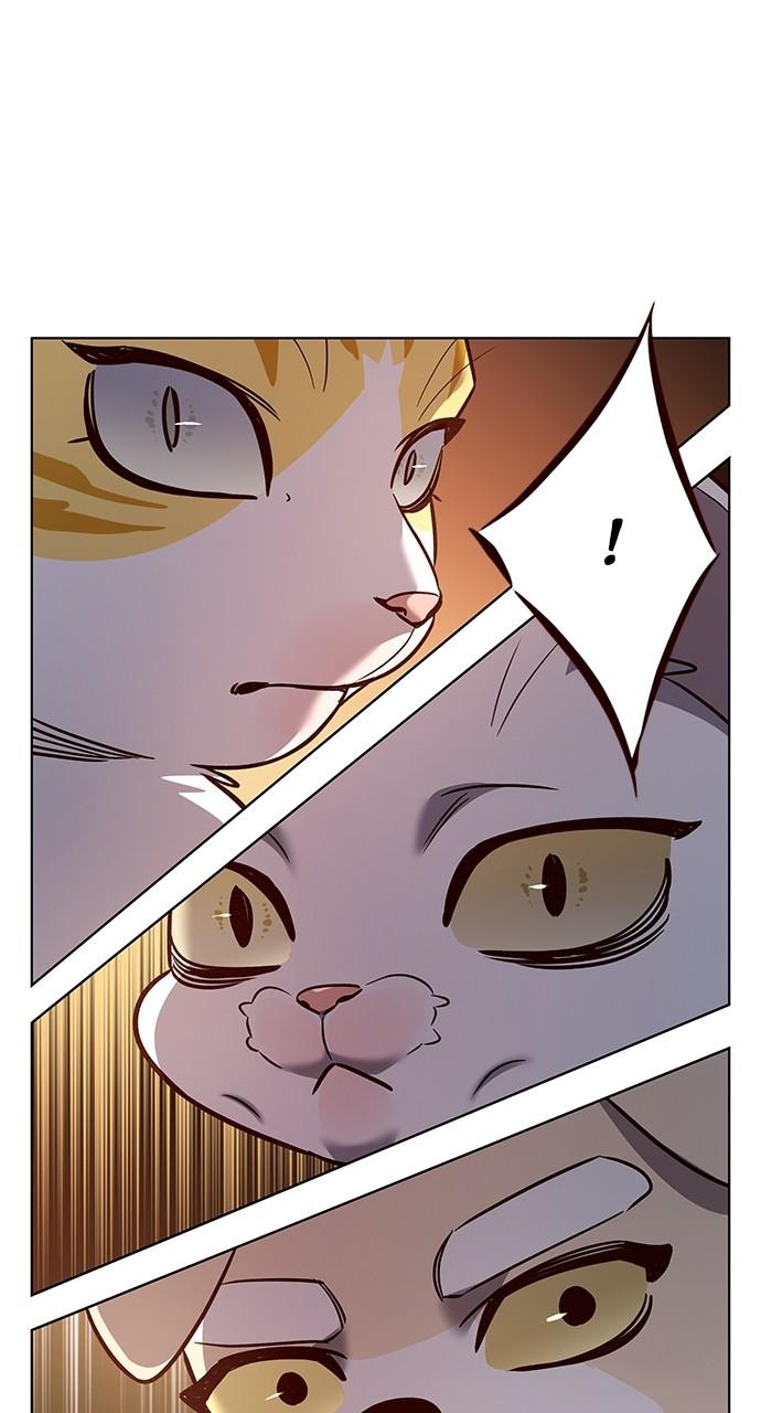 Read Eleceed ENGLISH Manga Online