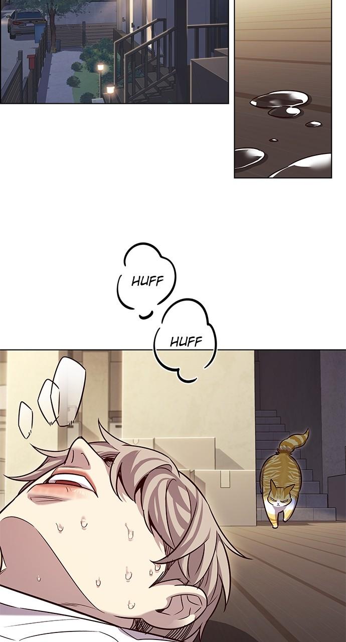 Read Eleceed ENGLISH Manga Online