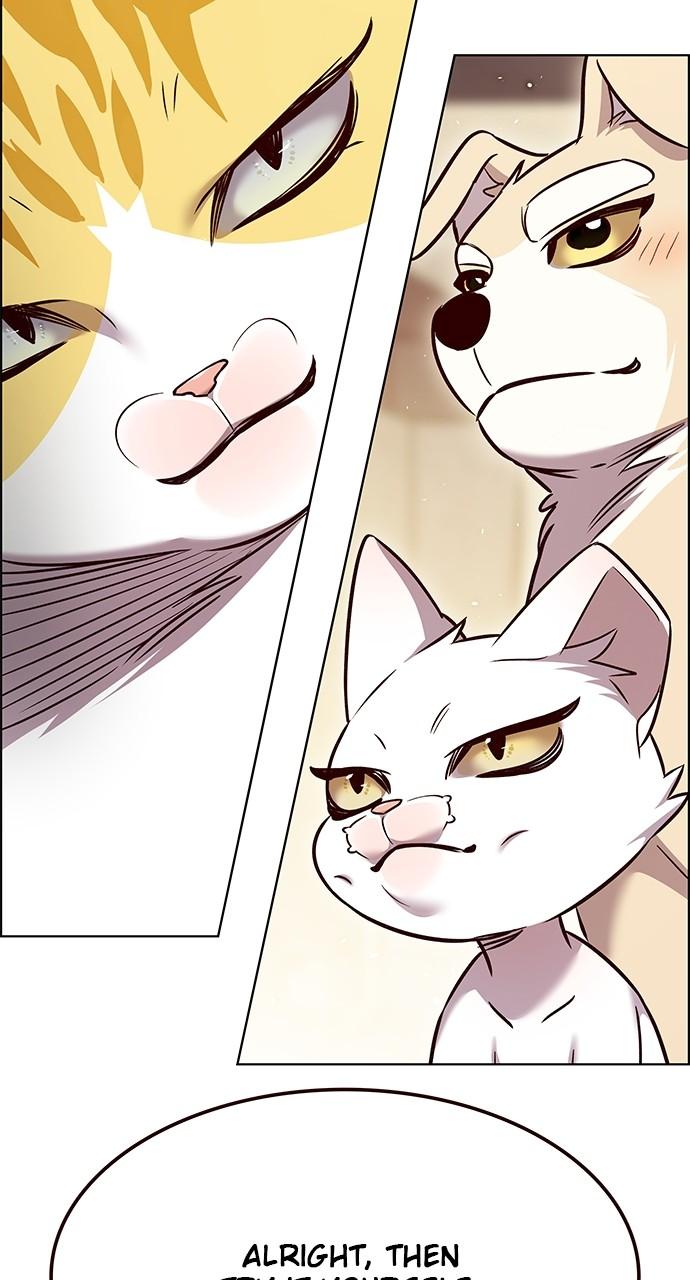 Read Eleceed ENGLISH Manga Online