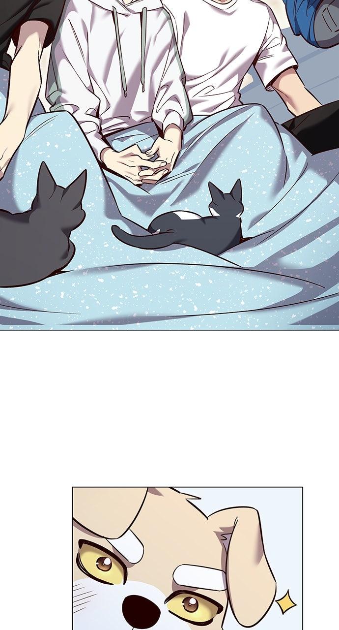 Read Eleceed ENGLISH Manga Online