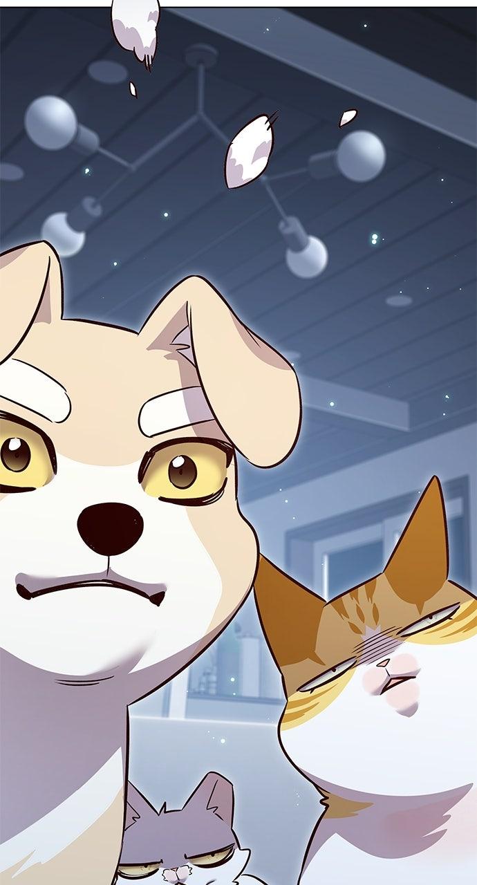 Read Eleceed ENGLISH Manga Online