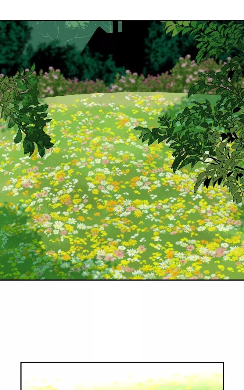 Read False Paradise ENGLISH Manga Online