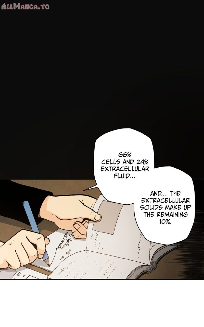 Read Fullmetal Alchemist ENGLISH Manga Online