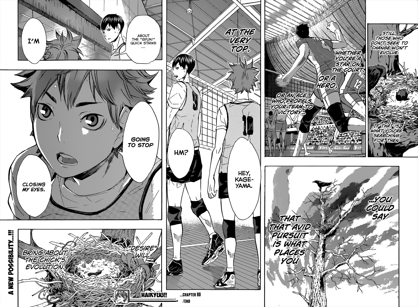 Read Haikyu!! ENGLISH Manga Online