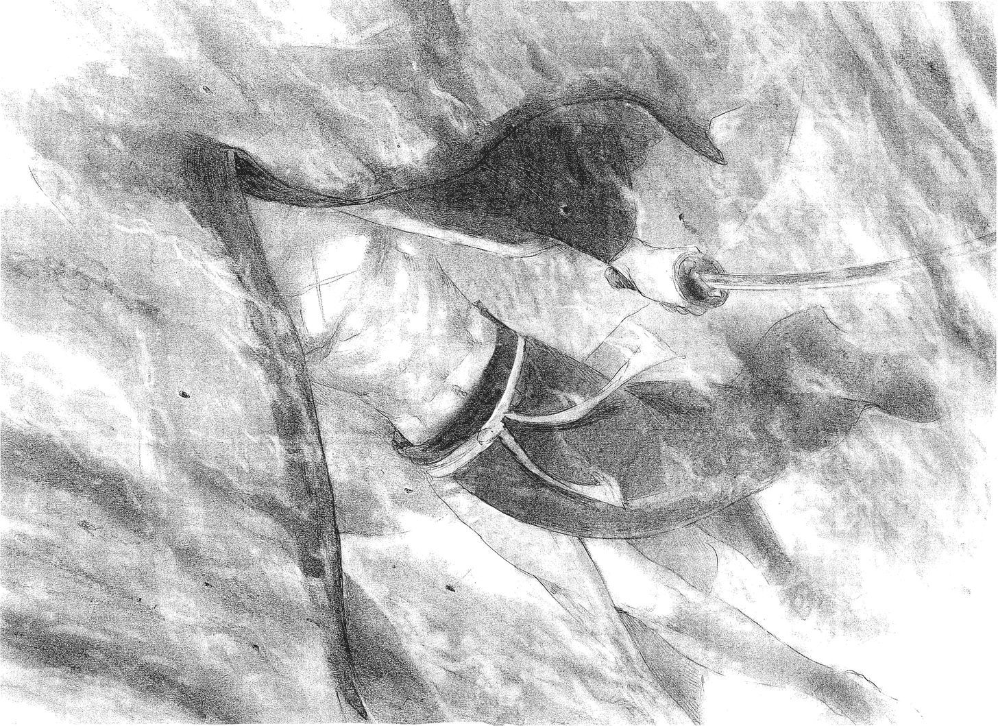 Read Mugen no Juunin ENGLISH Manga Online