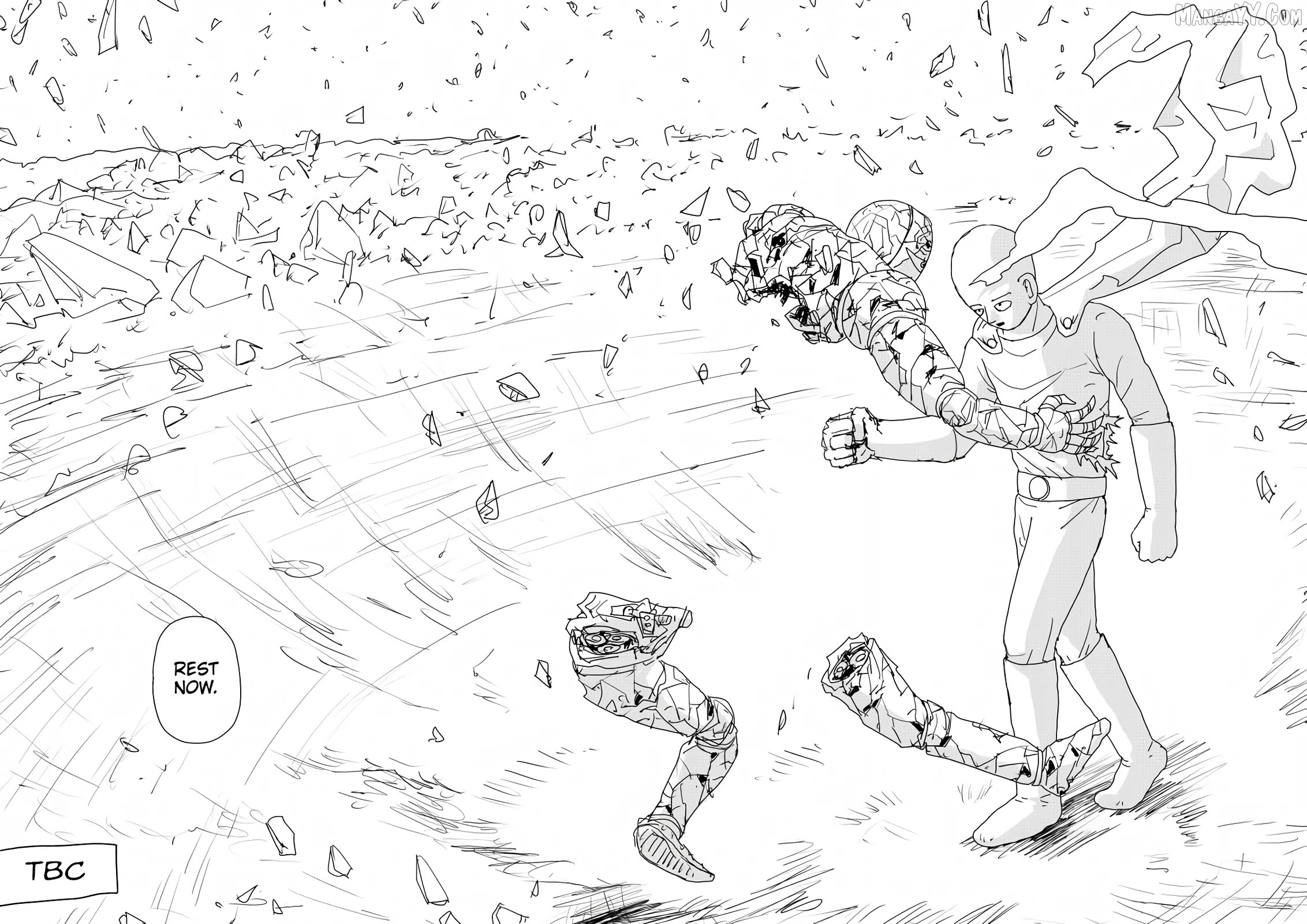 Read One-Punch Man (ONE) ENGLISH Manga Online