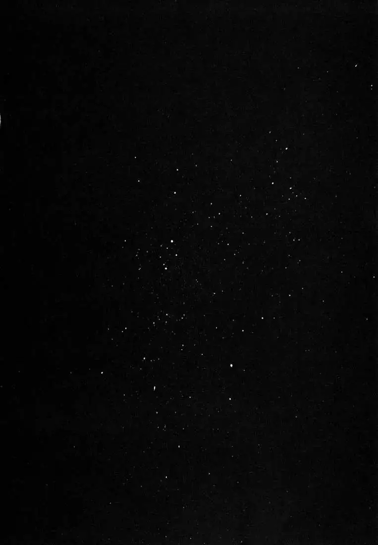 Read REAL ENGLISH Manga Online