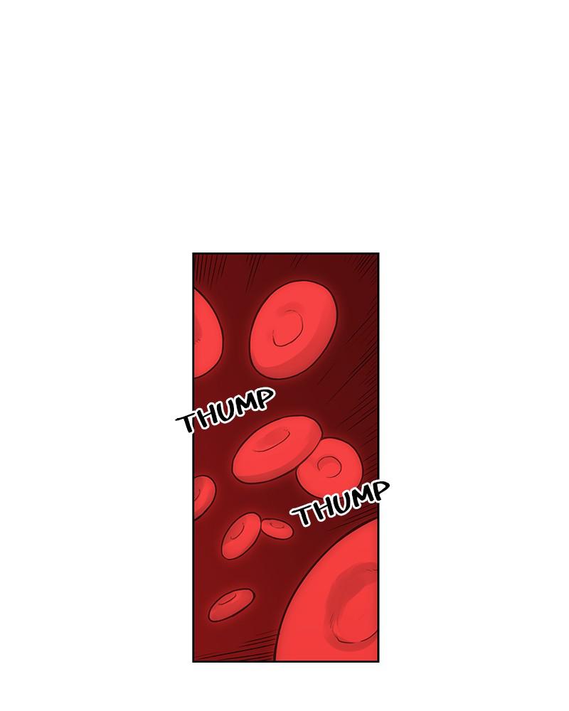 Read The Boxer ENGLISH Manga Online