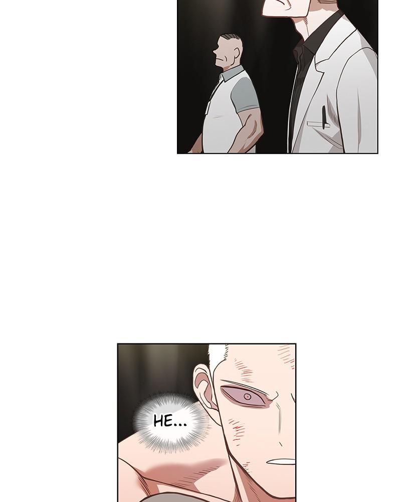 Read The Boxer ENGLISH Manga Online