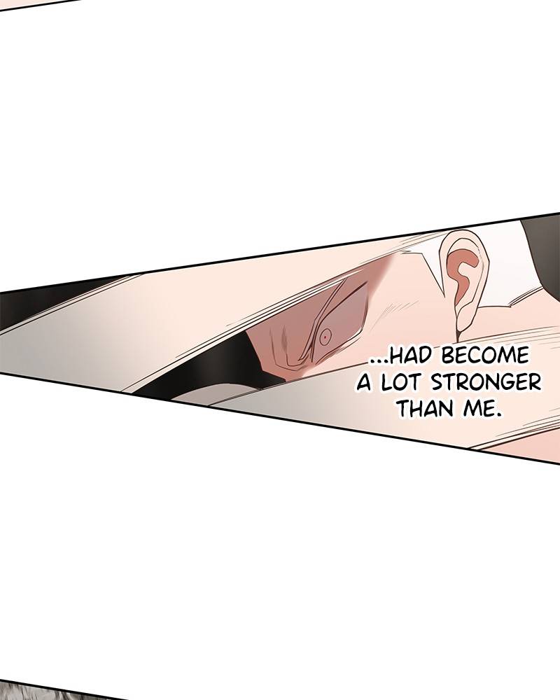 Read The Boxer ENGLISH Manga Online