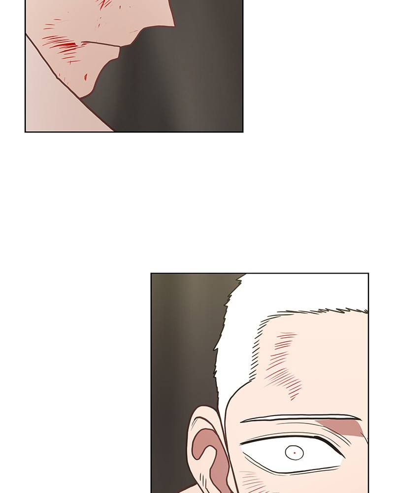 Read The Boxer ENGLISH Manga Online