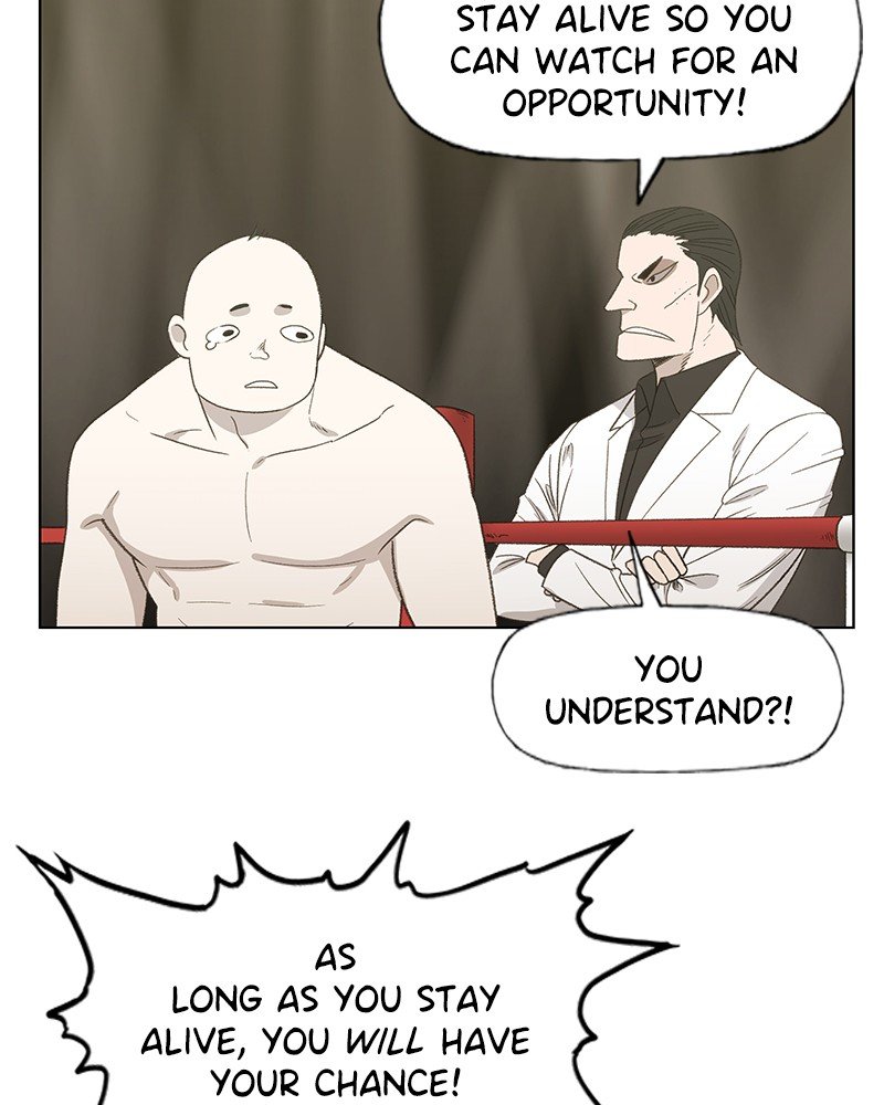 Read The Boxer ENGLISH Manga Online