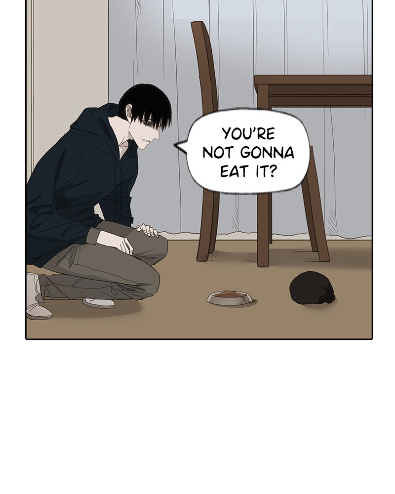 Read The Boxer ENGLISH Manga Online