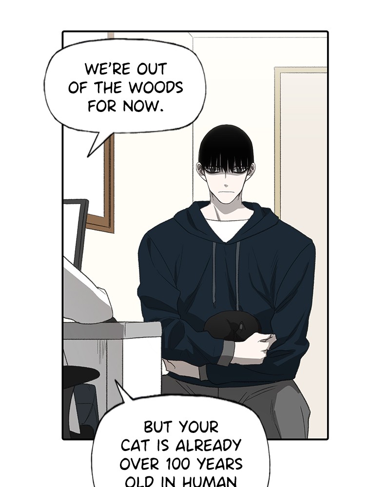 Read The Boxer ENGLISH Manga Online