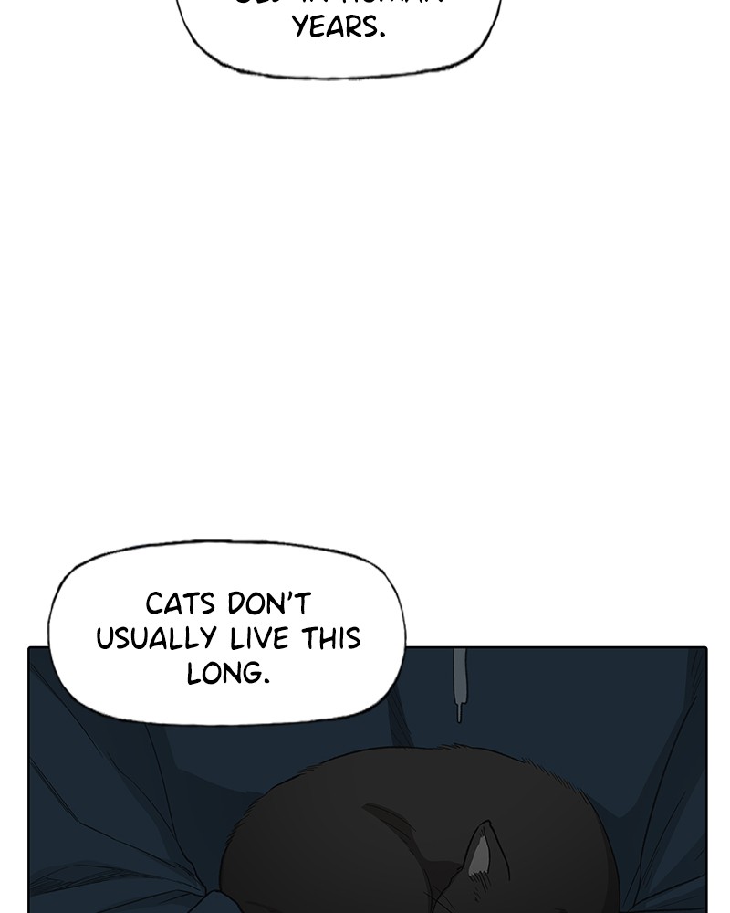 Read The Boxer ENGLISH Manga Online