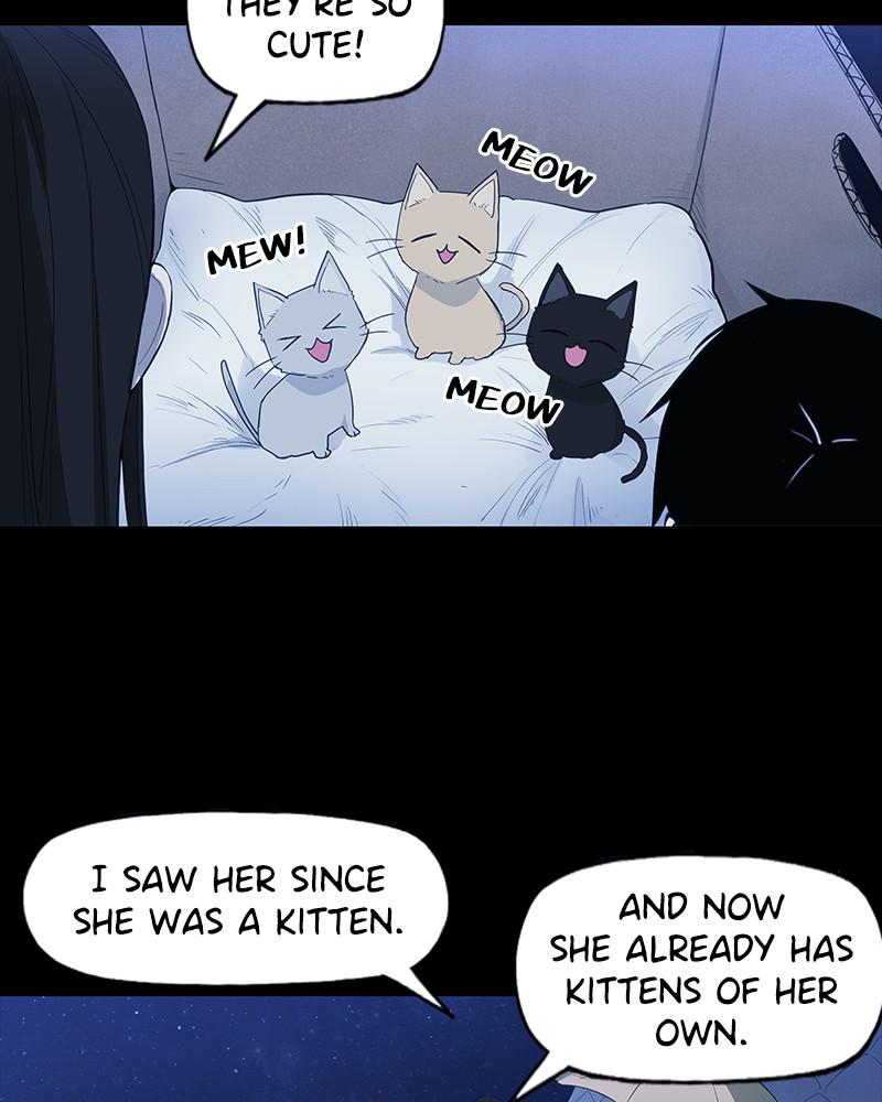 Read The Boxer ENGLISH Manga Online