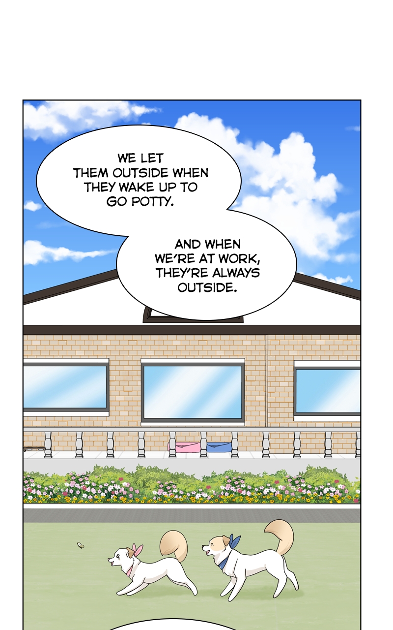 Read The Dog Diaries ENGLISH Manga Online