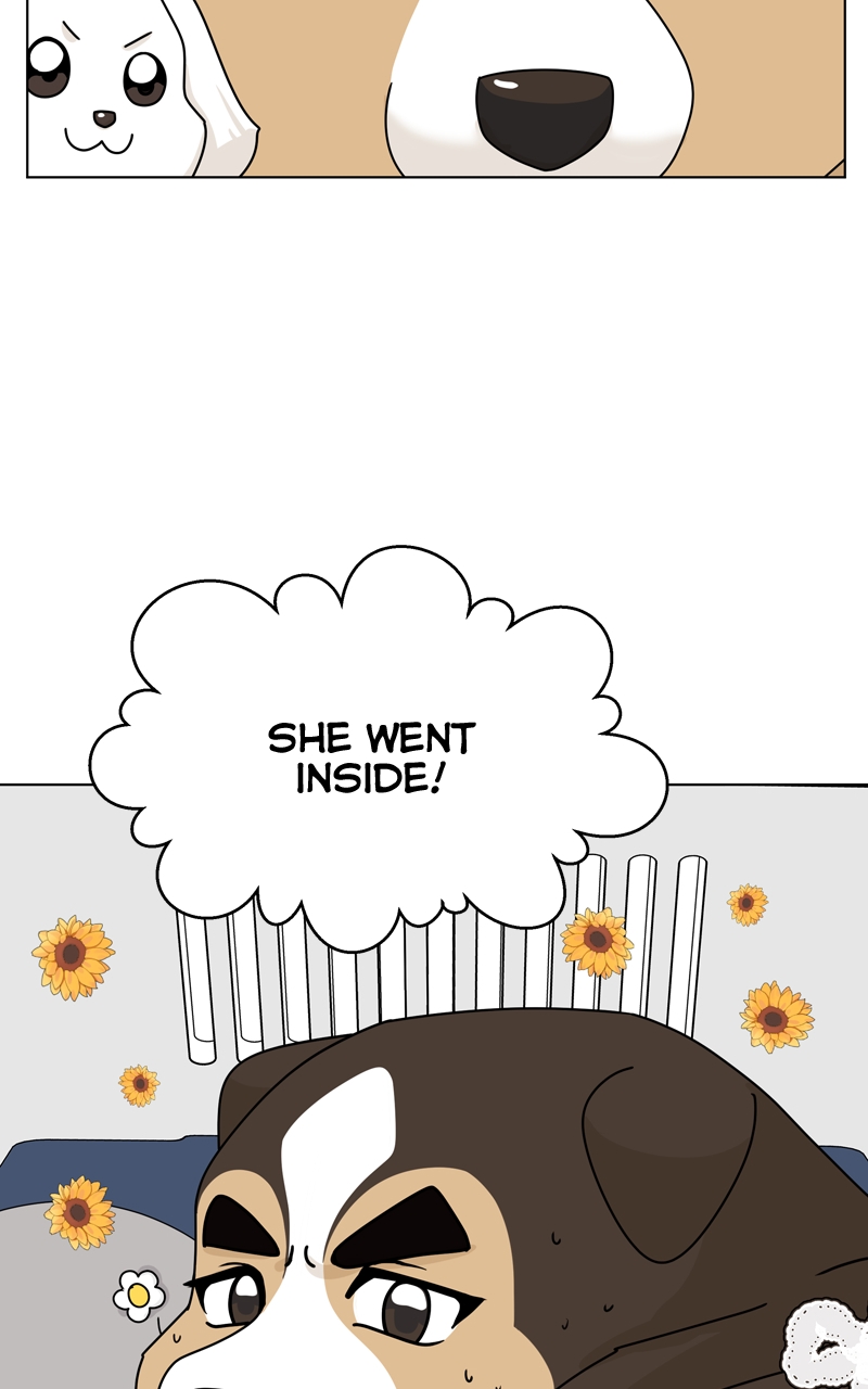 Read The Dog Diaries ENGLISH Manga Online