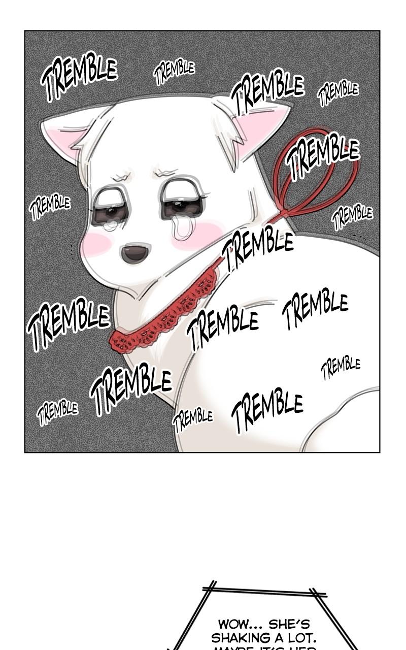 Read The Dog Diaries ENGLISH Manga Online