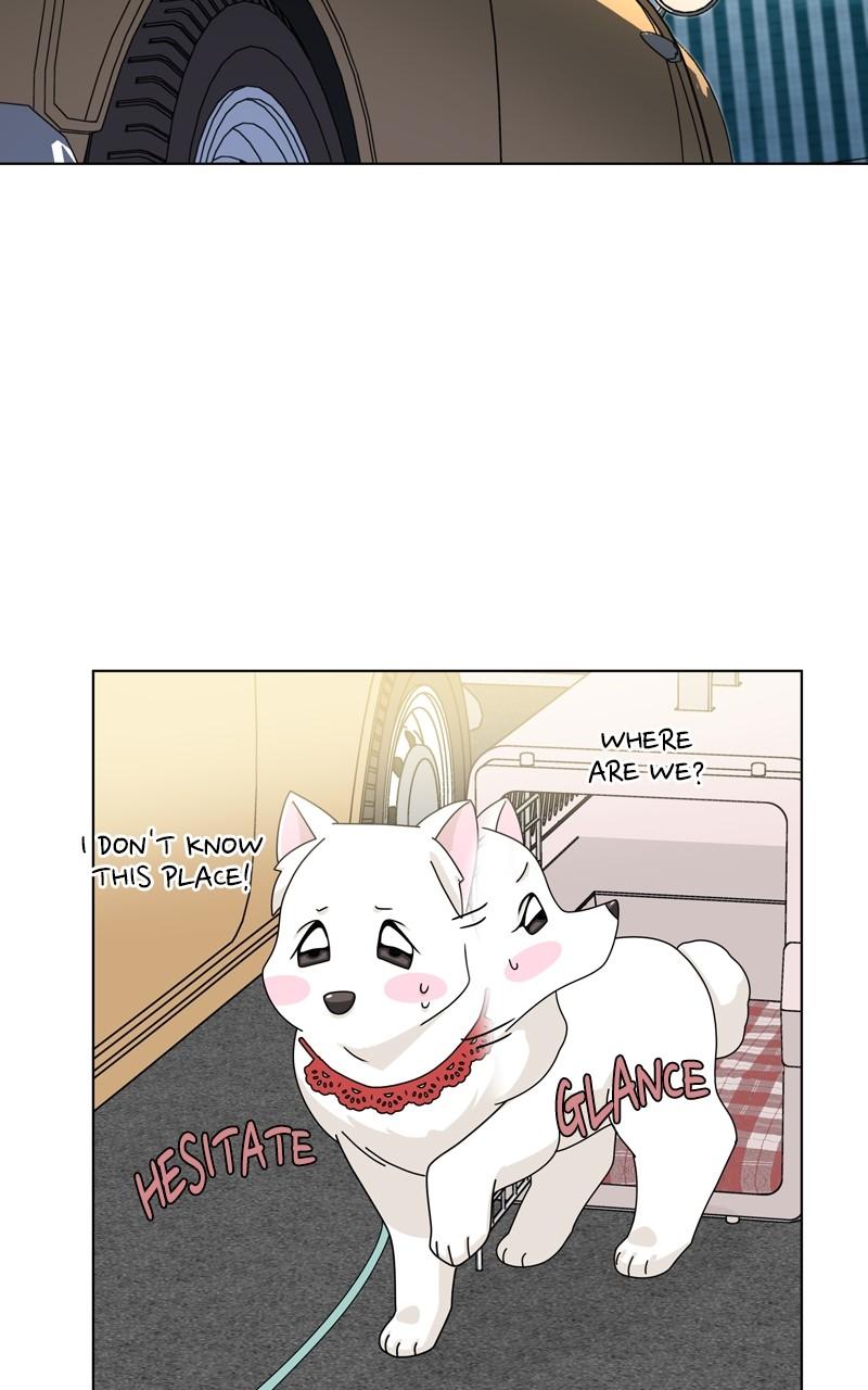 Read The Dog Diaries ENGLISH Manga Online