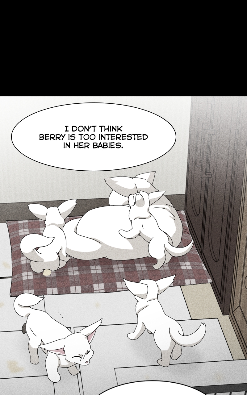 Read The Dog Diaries ENGLISH Manga Online