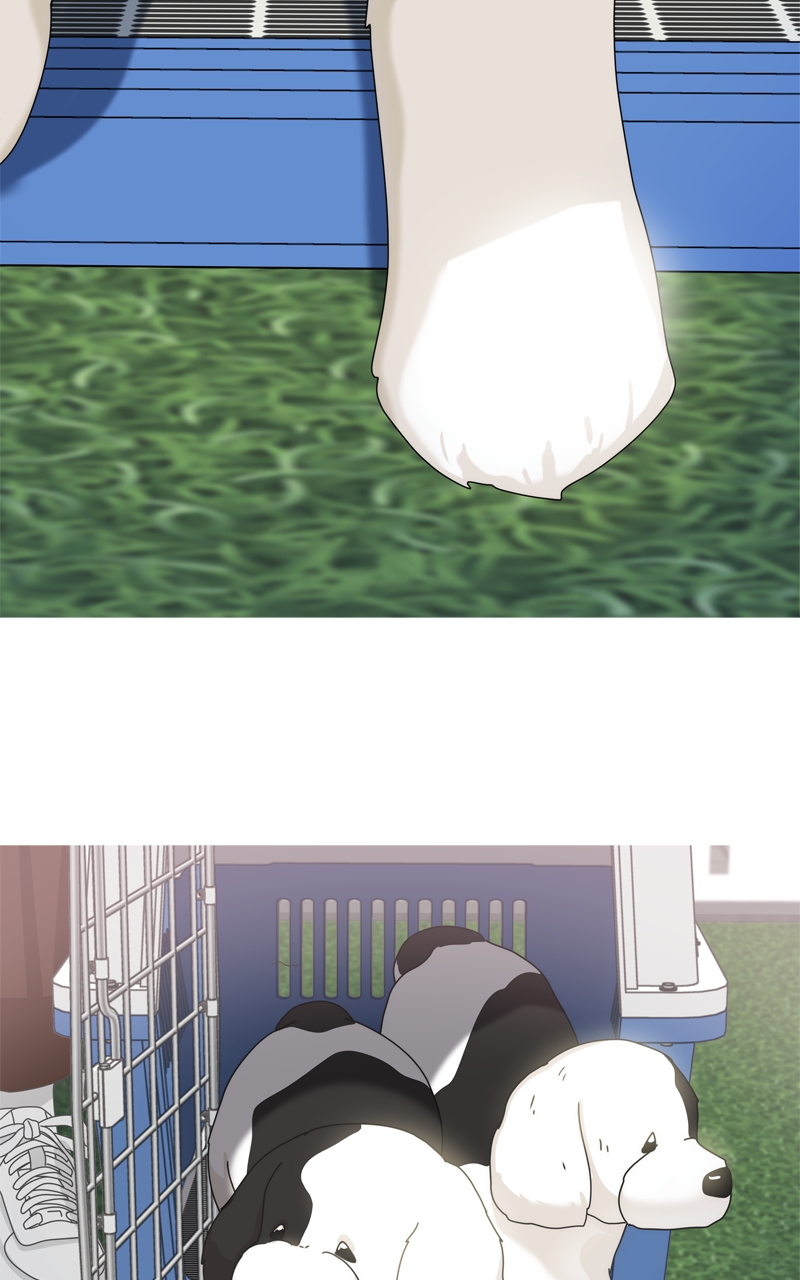 Read The Dog Diaries ENGLISH Manga Online