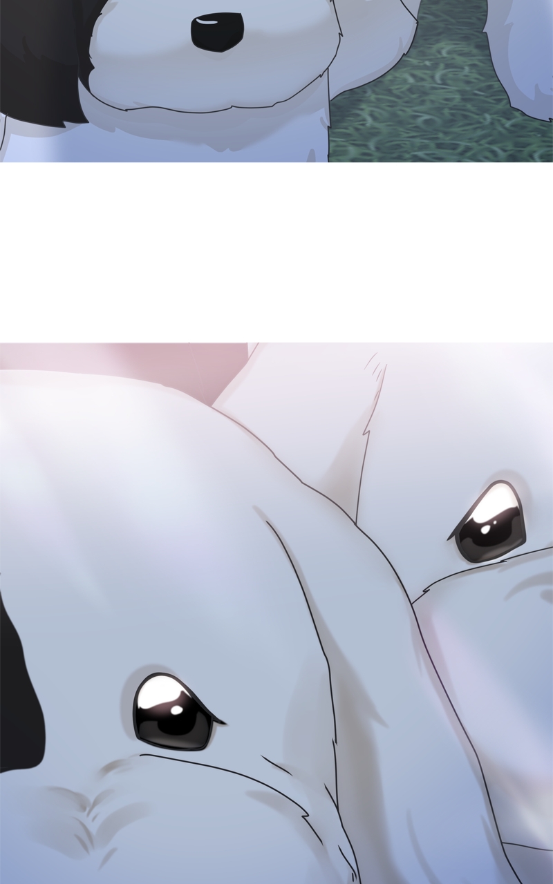 Read The Dog Diaries ENGLISH Manga Online