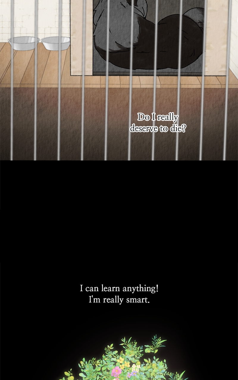 Read The Dog Diaries ENGLISH Manga Online