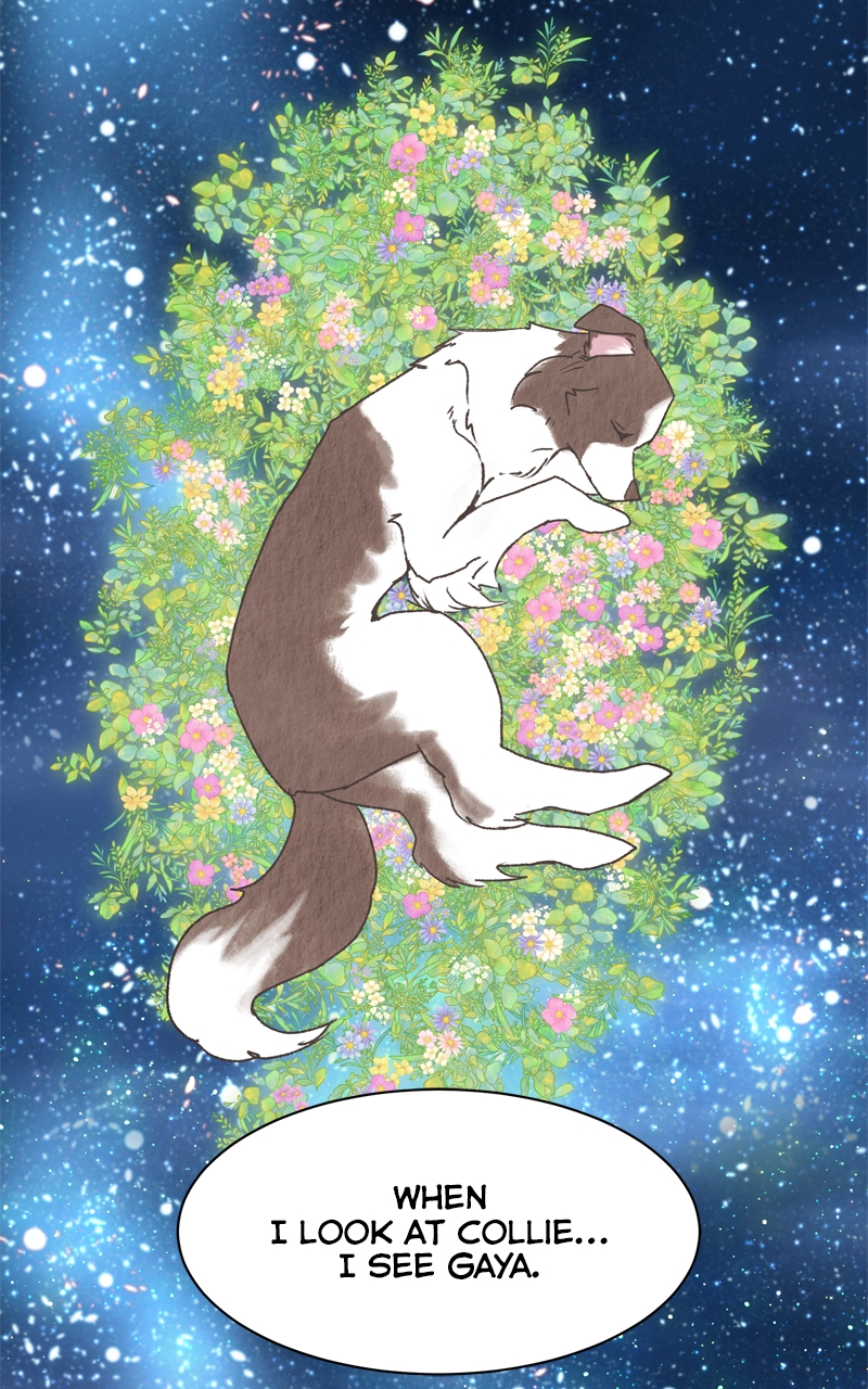 Read The Dog Diaries ENGLISH Manga Online