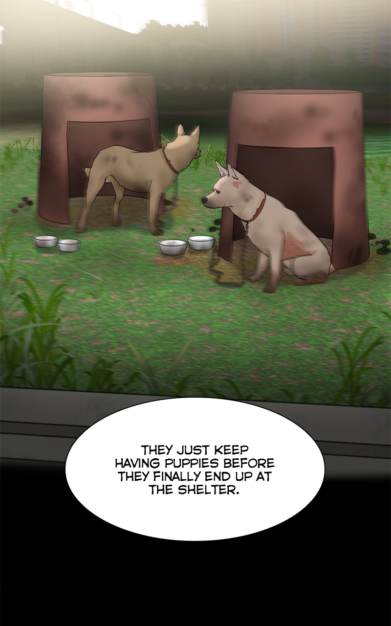 Read The Dog Diaries ENGLISH Manga Online