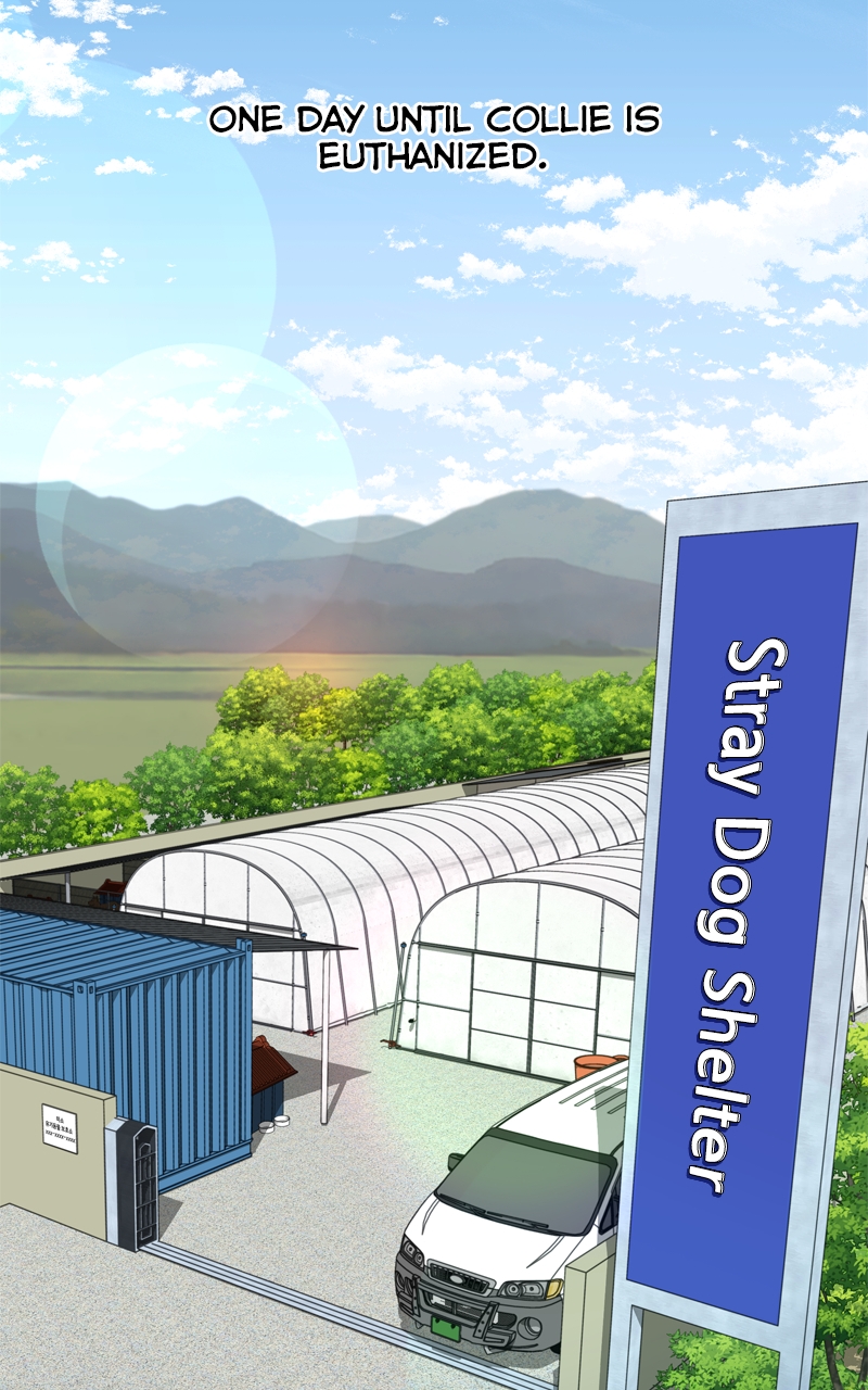 Read The Dog Diaries ENGLISH Manga Online