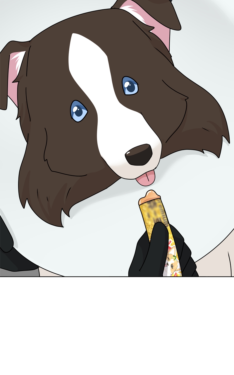 Read The Dog Diaries ENGLISH Manga Online