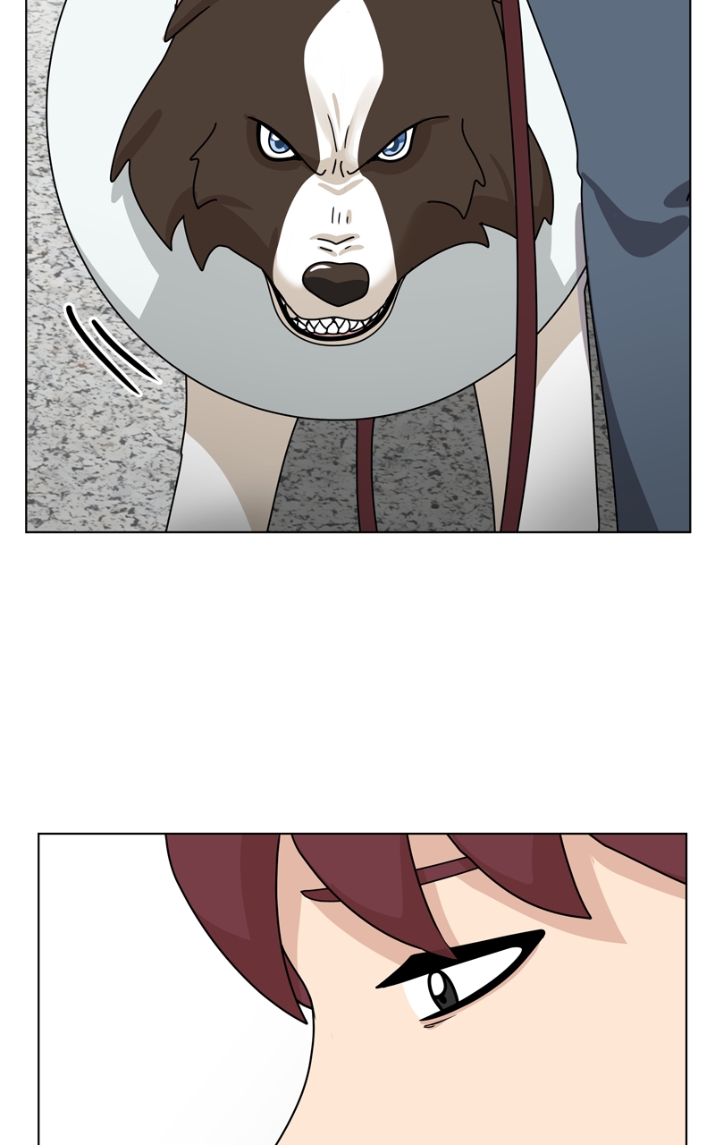 Read The Dog Diaries ENGLISH Manga Online