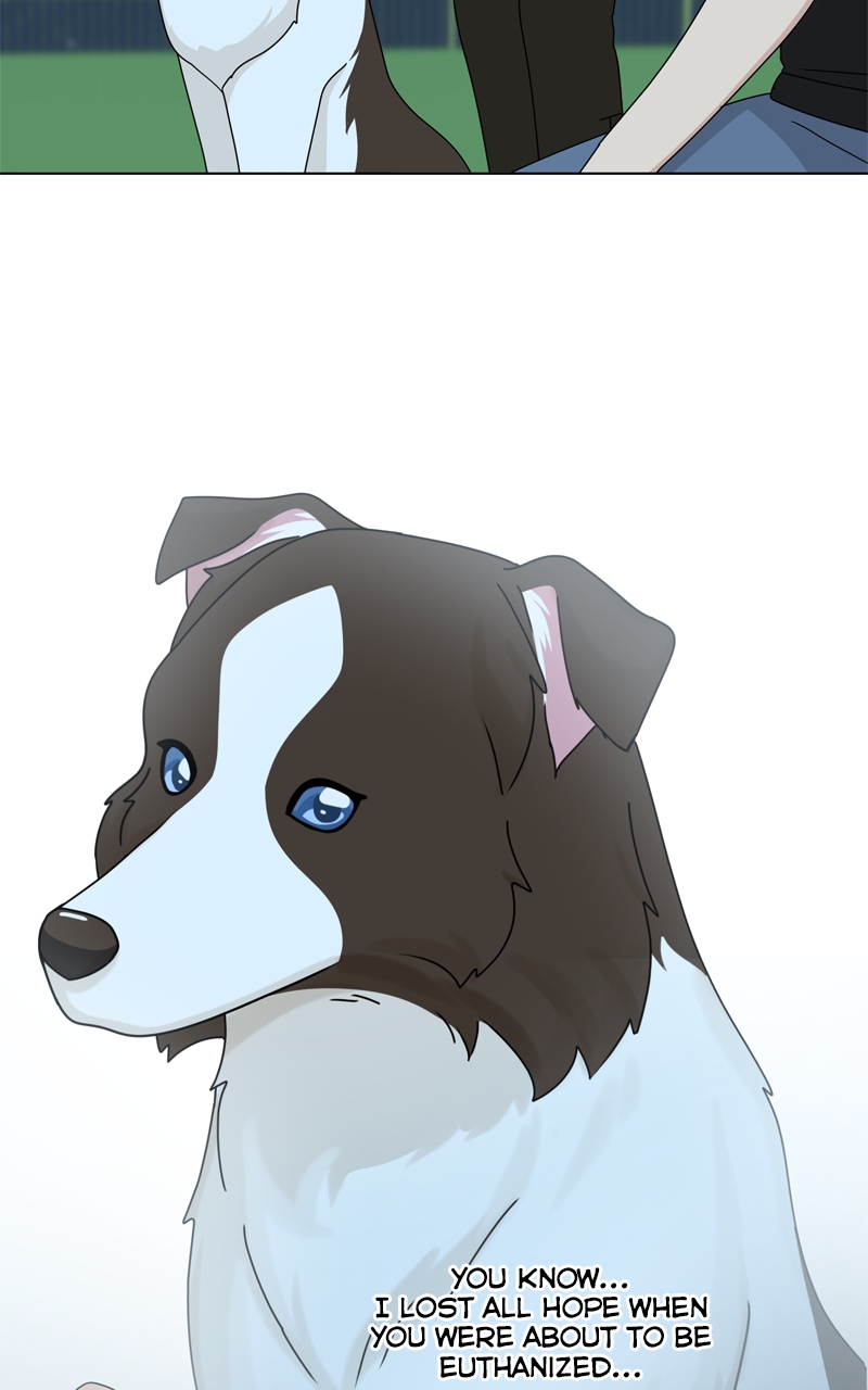 Read The Dog Diaries ENGLISH Manga Online