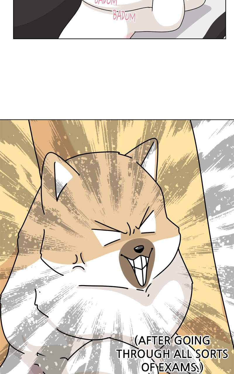 Read The Dog Diaries ENGLISH Manga Online