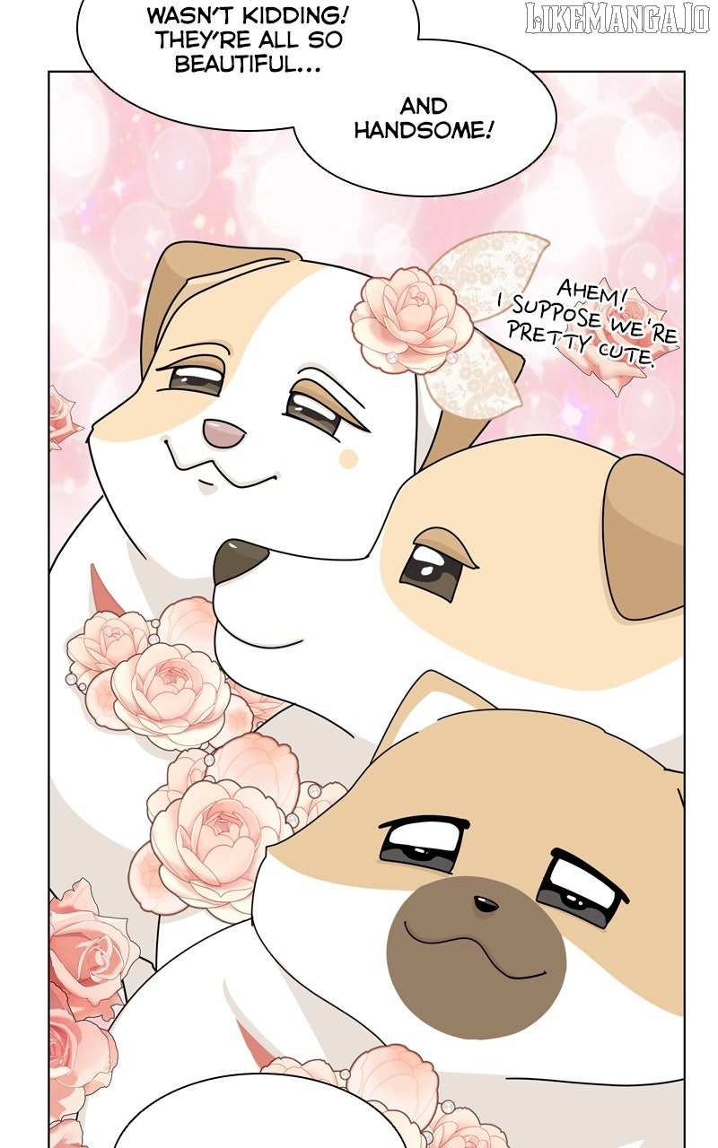 Read The Dog Diaries ENGLISH Manga Online