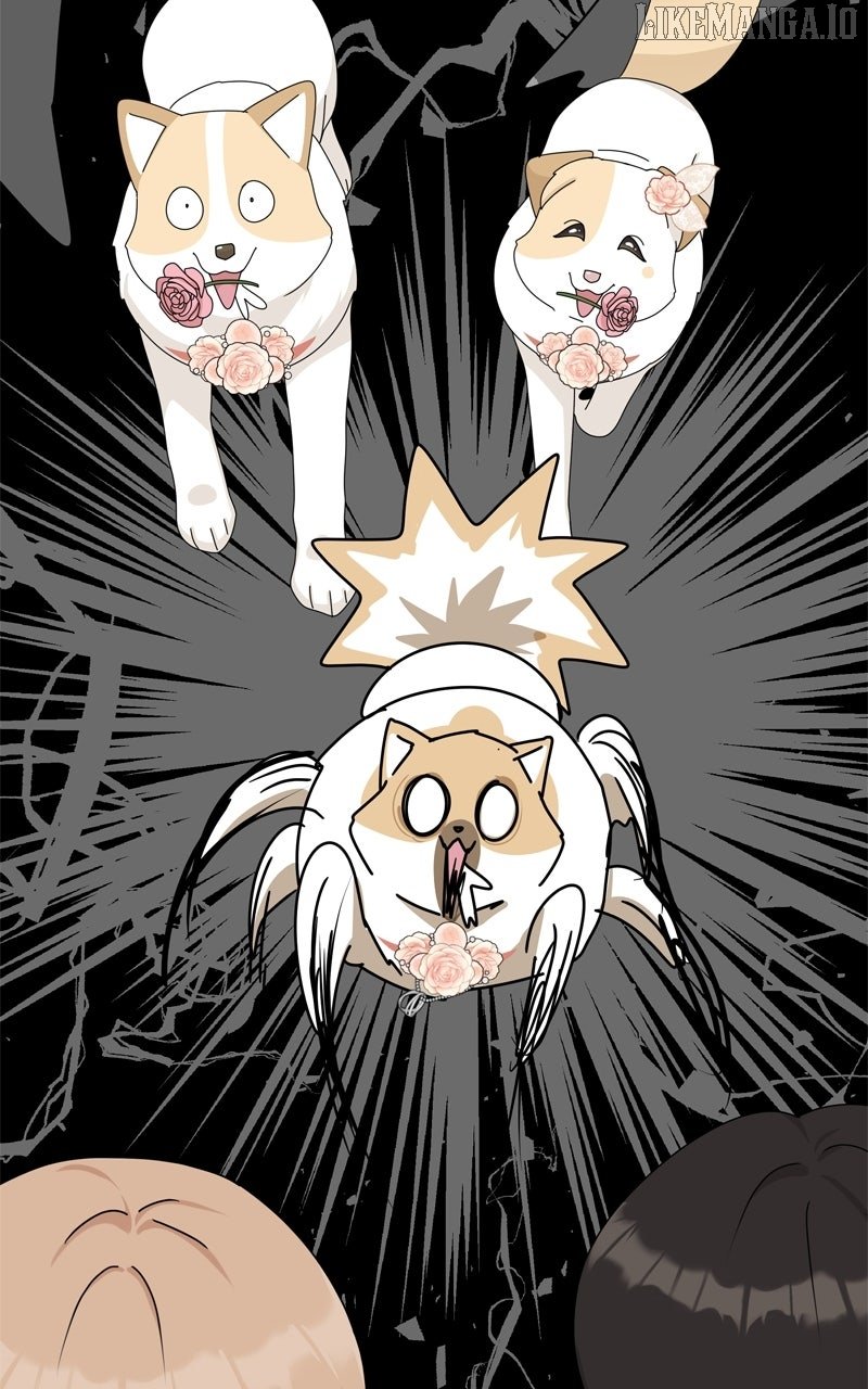 Read The Dog Diaries ENGLISH Manga Online