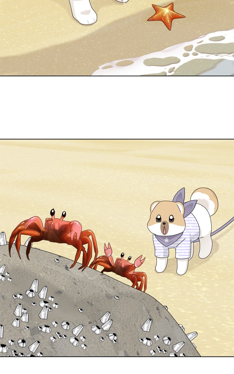 Read The Dog Diaries ENGLISH Manga Online