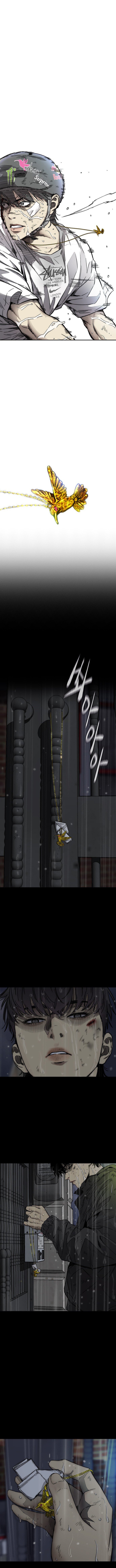 Read Wind Breaker Manhwa ENGLISH Manga Online